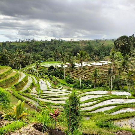 Magical Breeze Cabin Angsri Luaran gambar