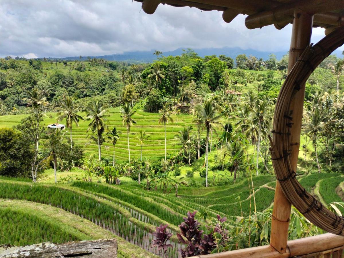 Magical Breeze Cabin Angsri Luaran gambar