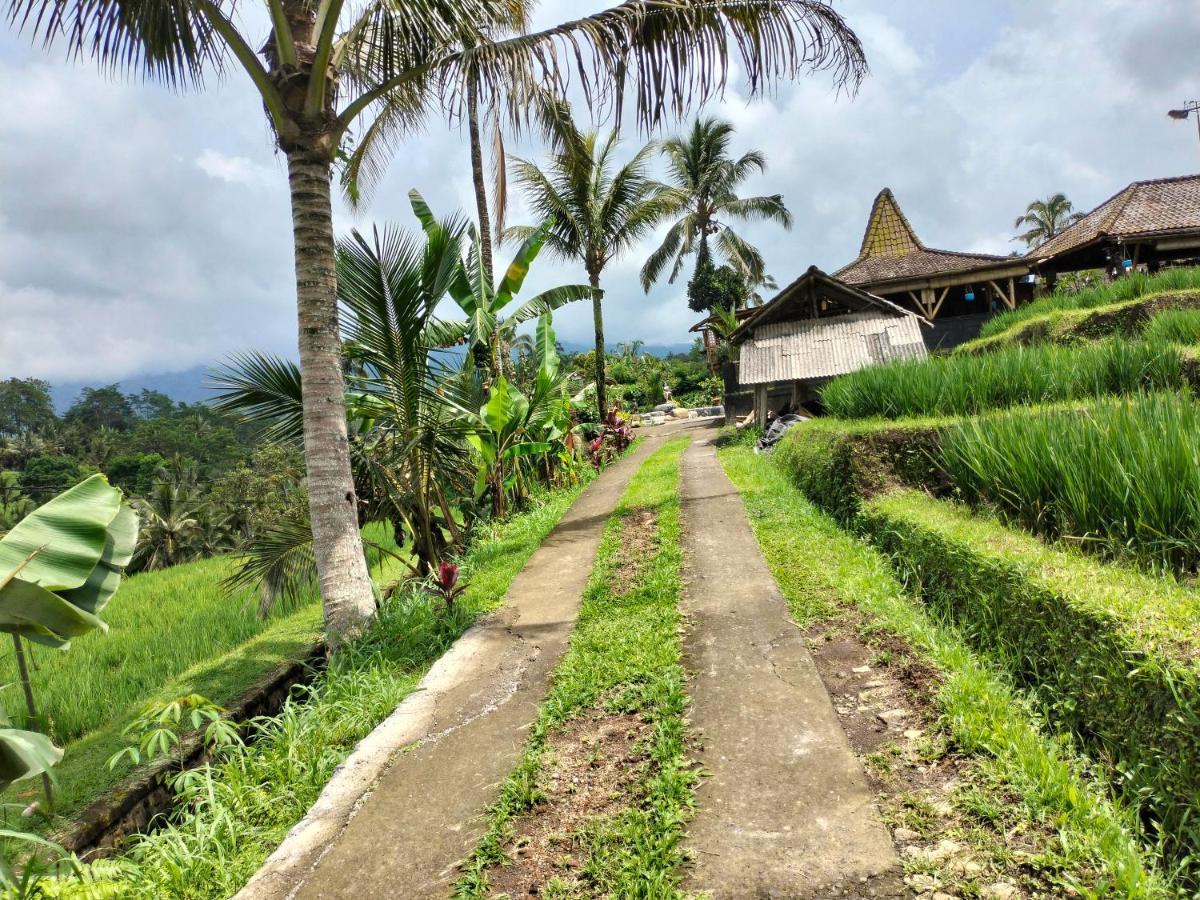 Magical Breeze Cabin Angsri Luaran gambar