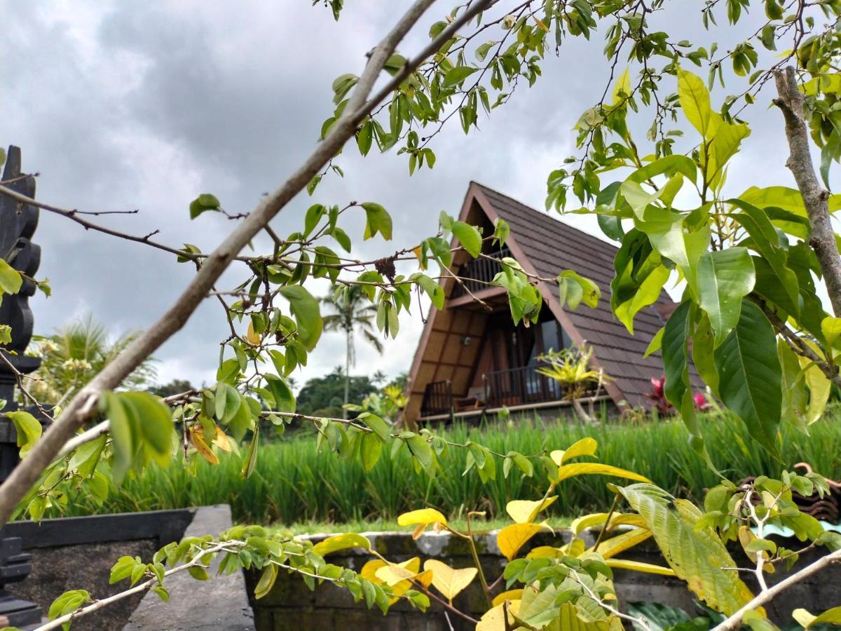 Magical Breeze Cabin Angsri Luaran gambar