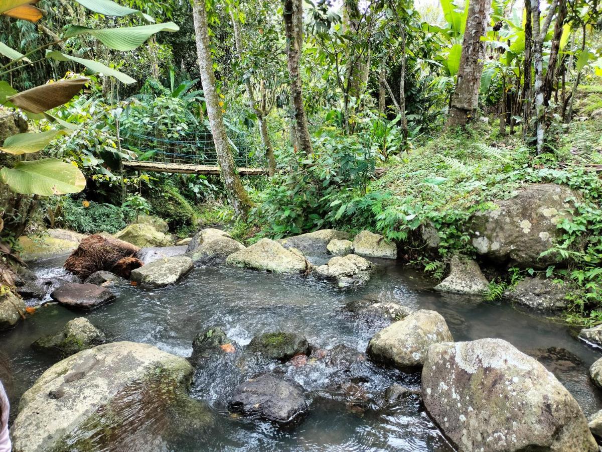 Magical Breeze Cabin Angsri Luaran gambar