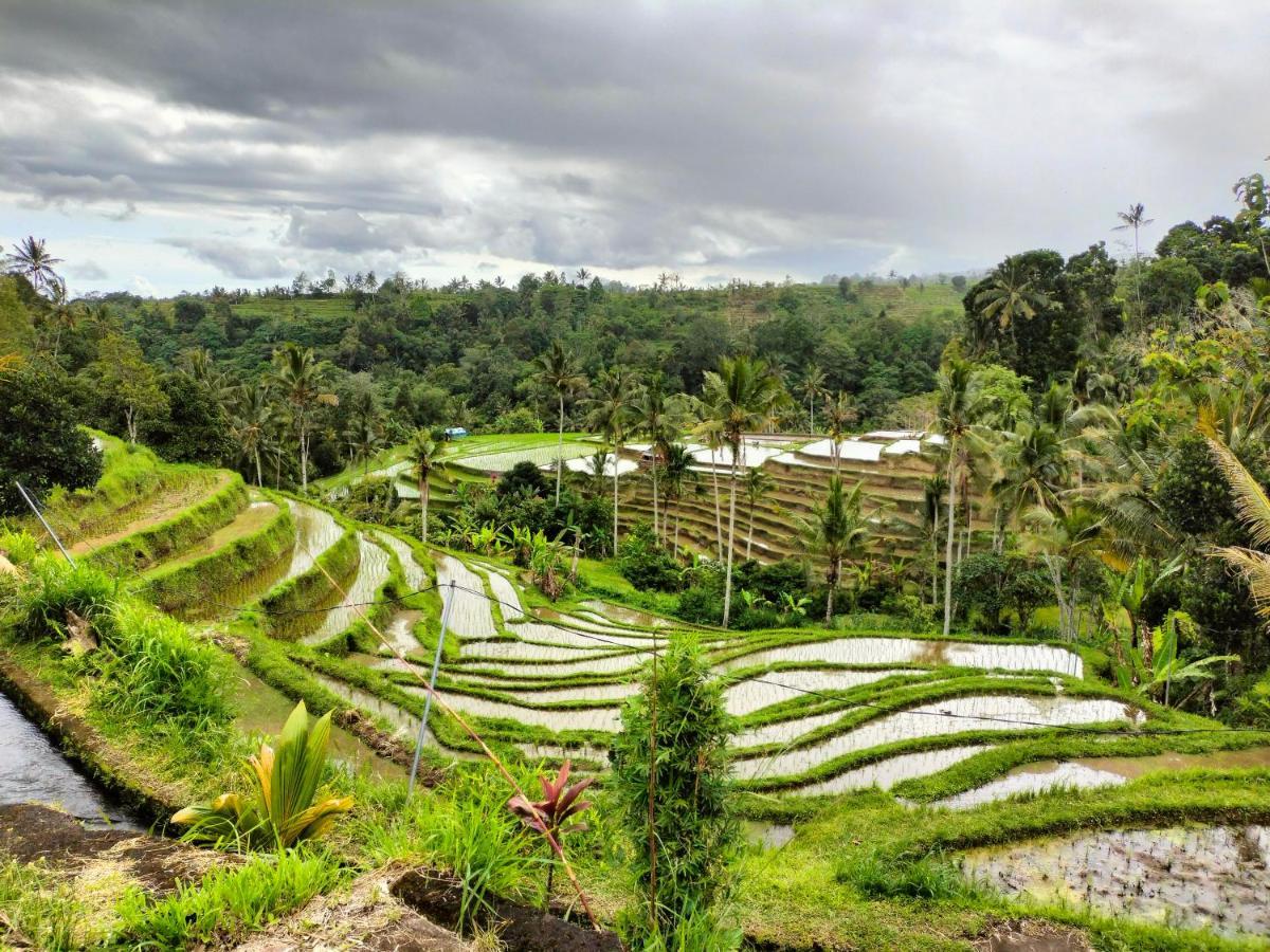 Magical Breeze Cabin Angsri Luaran gambar