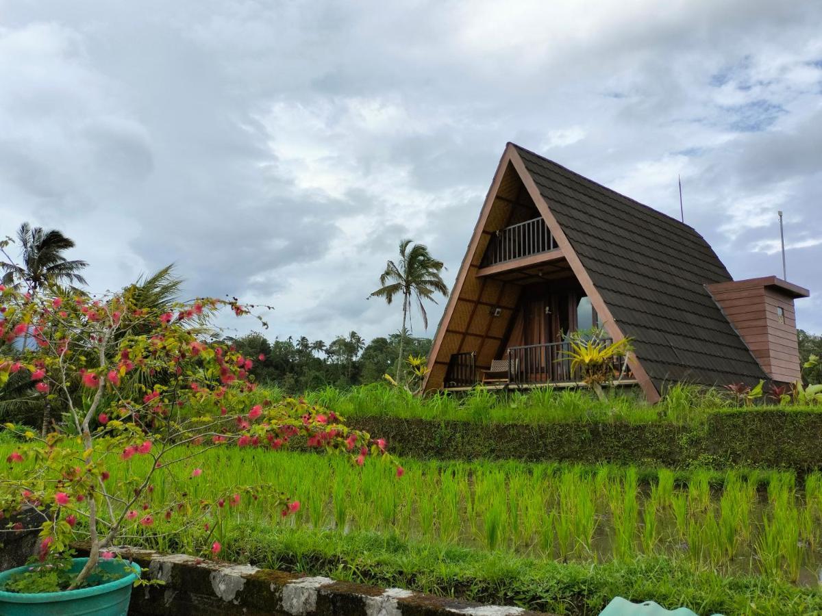 Magical Breeze Cabin Angsri Luaran gambar