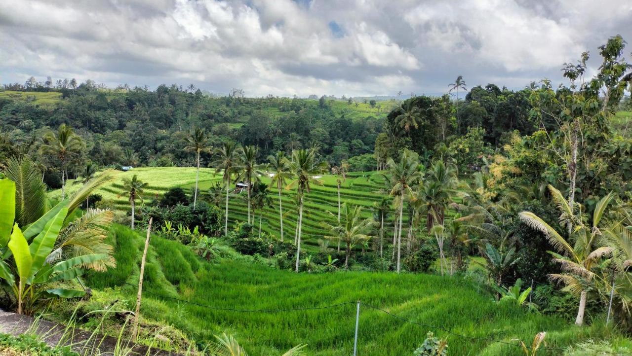 Magical Breeze Cabin Angsri Luaran gambar